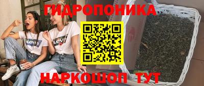 ешки Будённовск