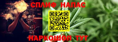 ешки Будённовск