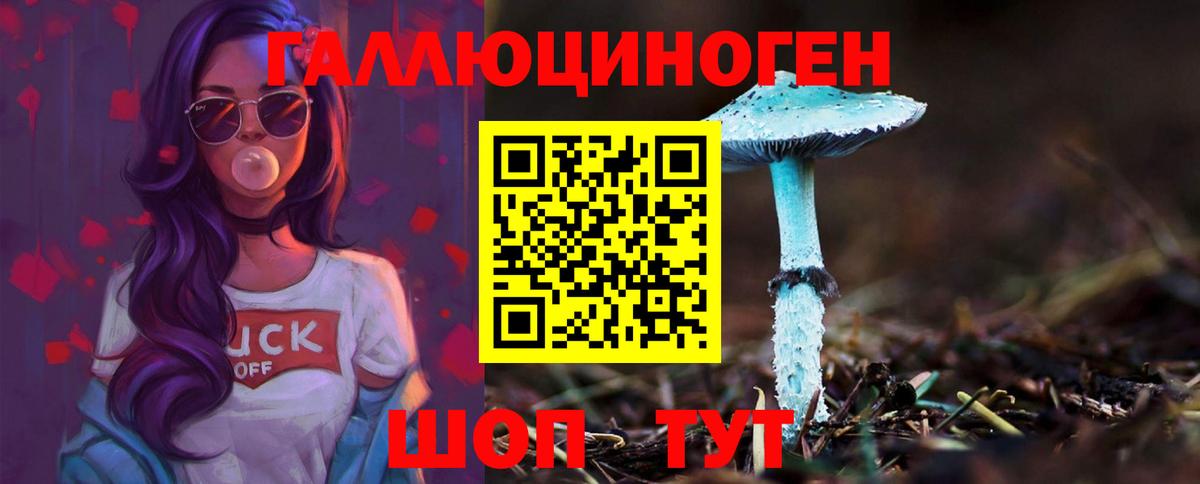 Псилоцибиновые грибы мухоморы Азов